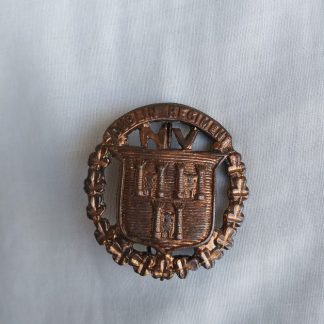 Dublin Regiment Cap Badge