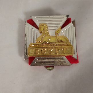 Royal Gloucesters Cap Badge