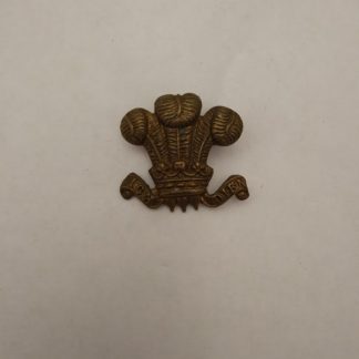 The Royal Regiment of Wales collar dog