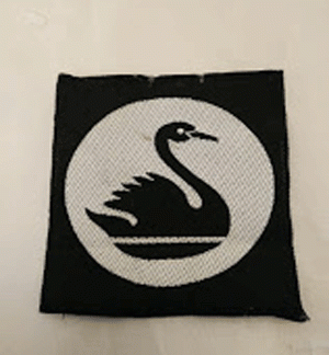 51st Independent Infantry formation Patch