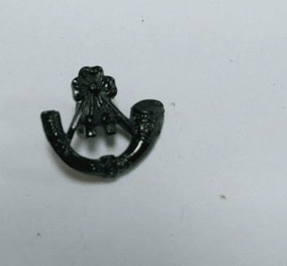 Light Infantry collar dogs