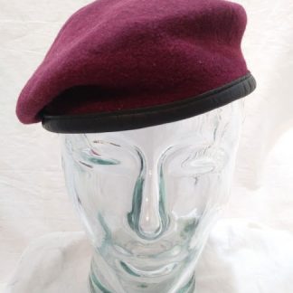 Para beret