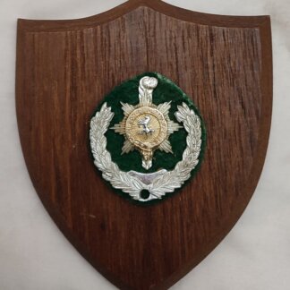 The Princess of Wales wall plaque